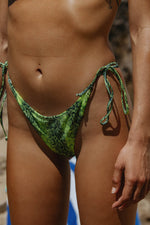 Melody Bottom (Python)